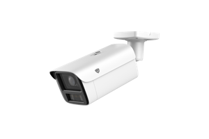 Telecamere IP e AI